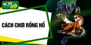 Cách Chơi Rồng Hổ